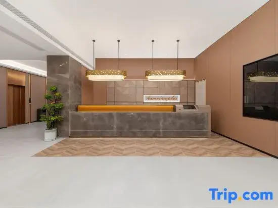 Home Inn Plus Hotel (Linyi Lushang Center Wanda Plaza Branch)