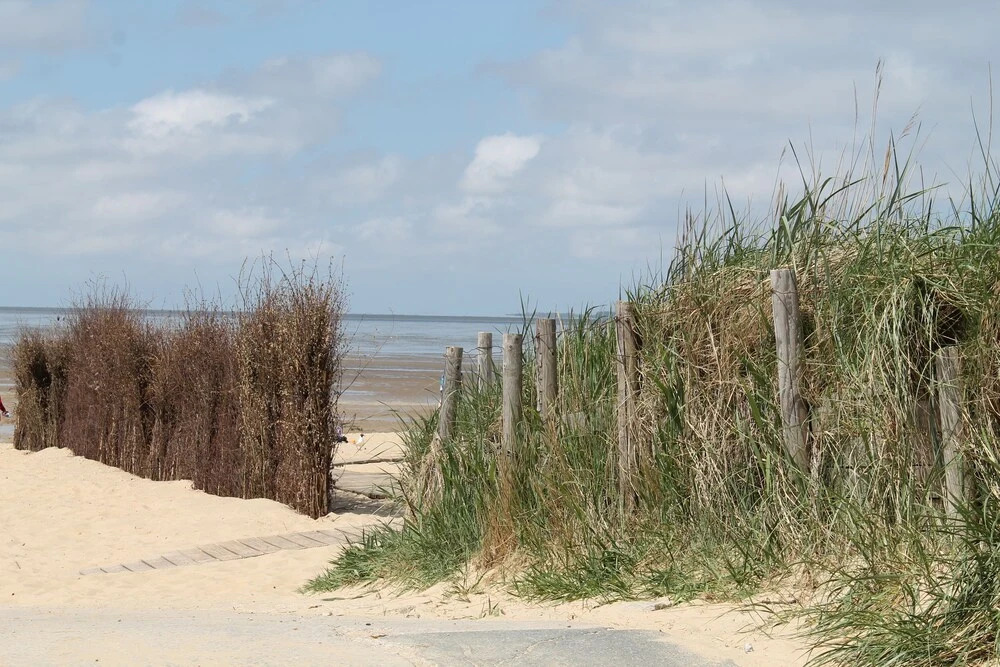 Quartier Hohe Geest 3