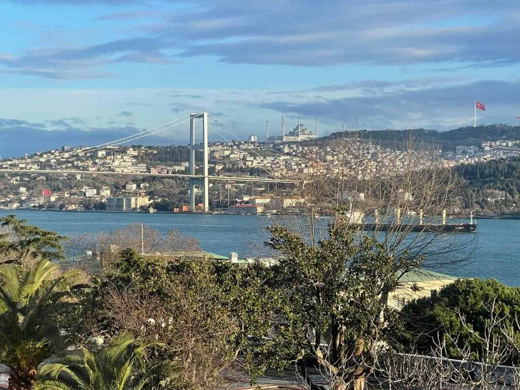 Panoramic Bosphorus View Cozy Apartment