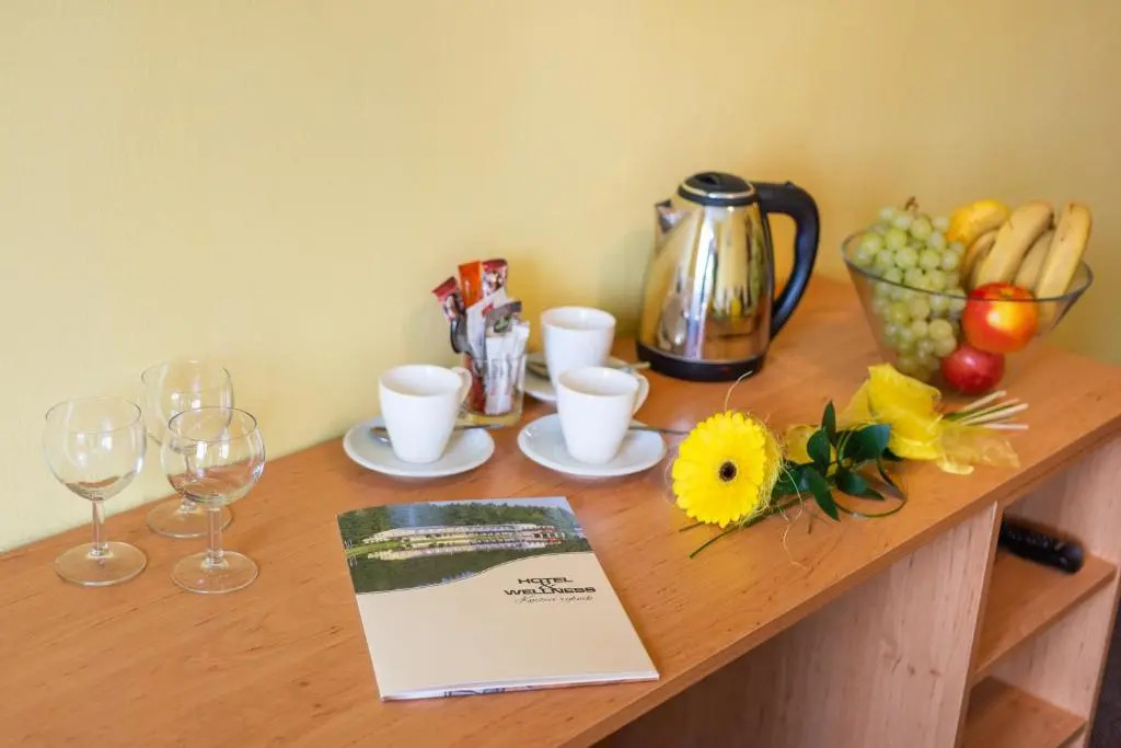 Hotel&Wellness Knížecí rybník