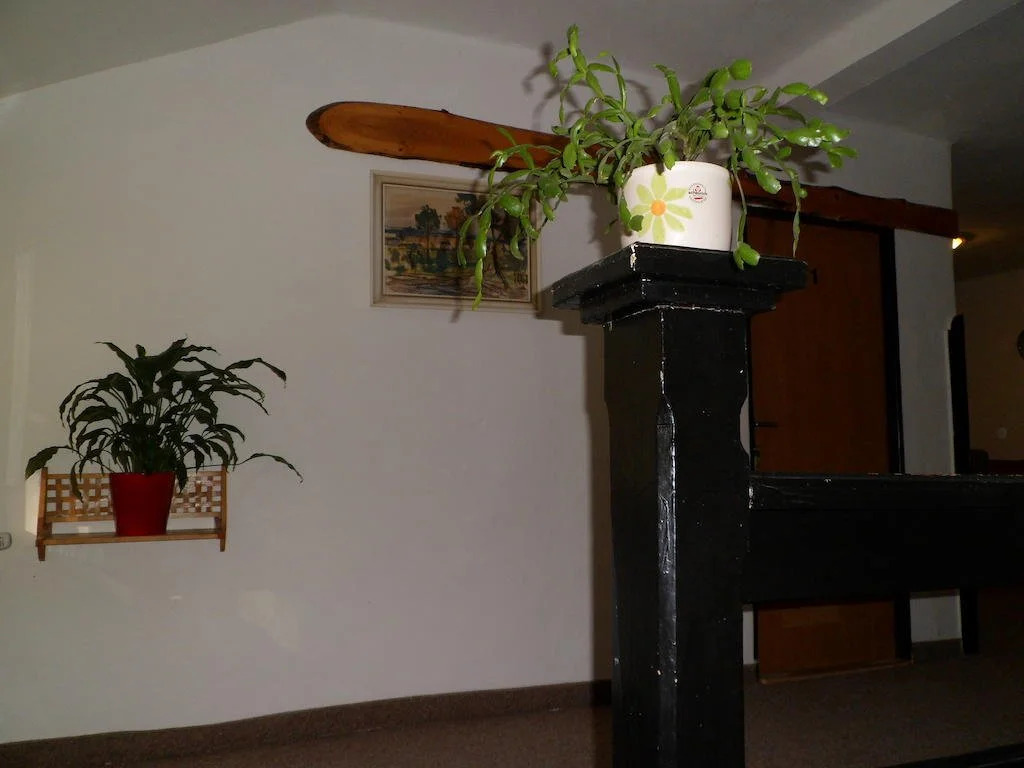 Pension Rychta