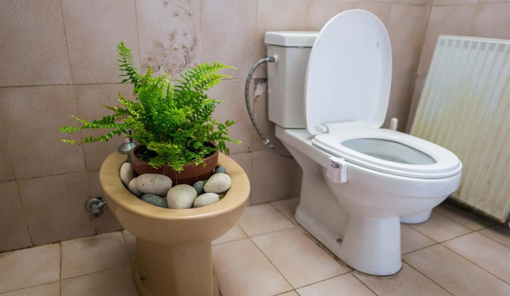 Jedi Garden Hostel