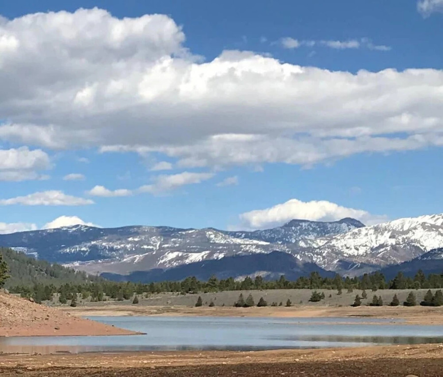 Truckee Contemporary Oasis