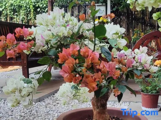 Yihuaxuanting Homestay (Kunming Dianchi Haitang Dam)
