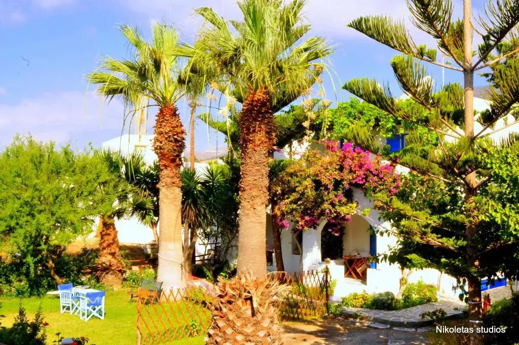 Nikoletas Studios