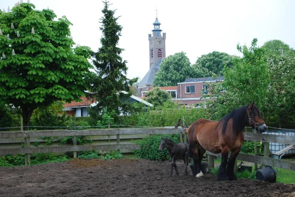 De ZeeuwSter