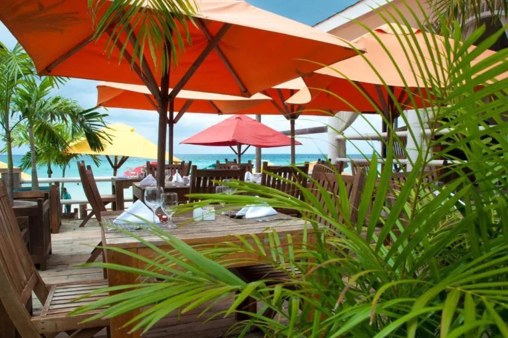 Negril Palms