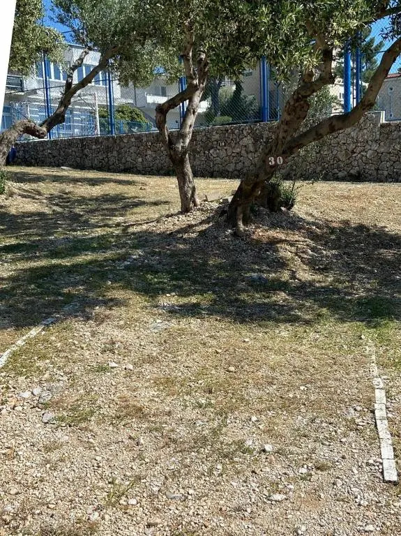 Apartments Lucija