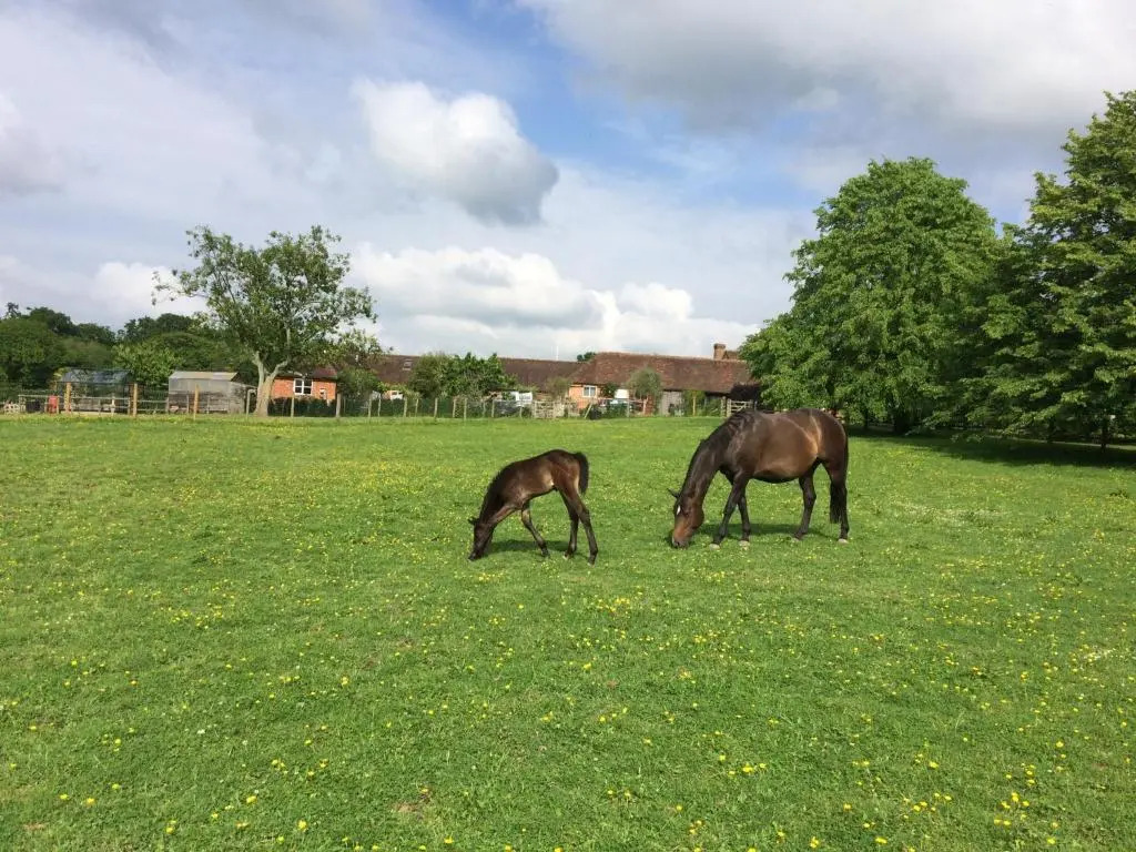Three Chimneys Farm Accommodation