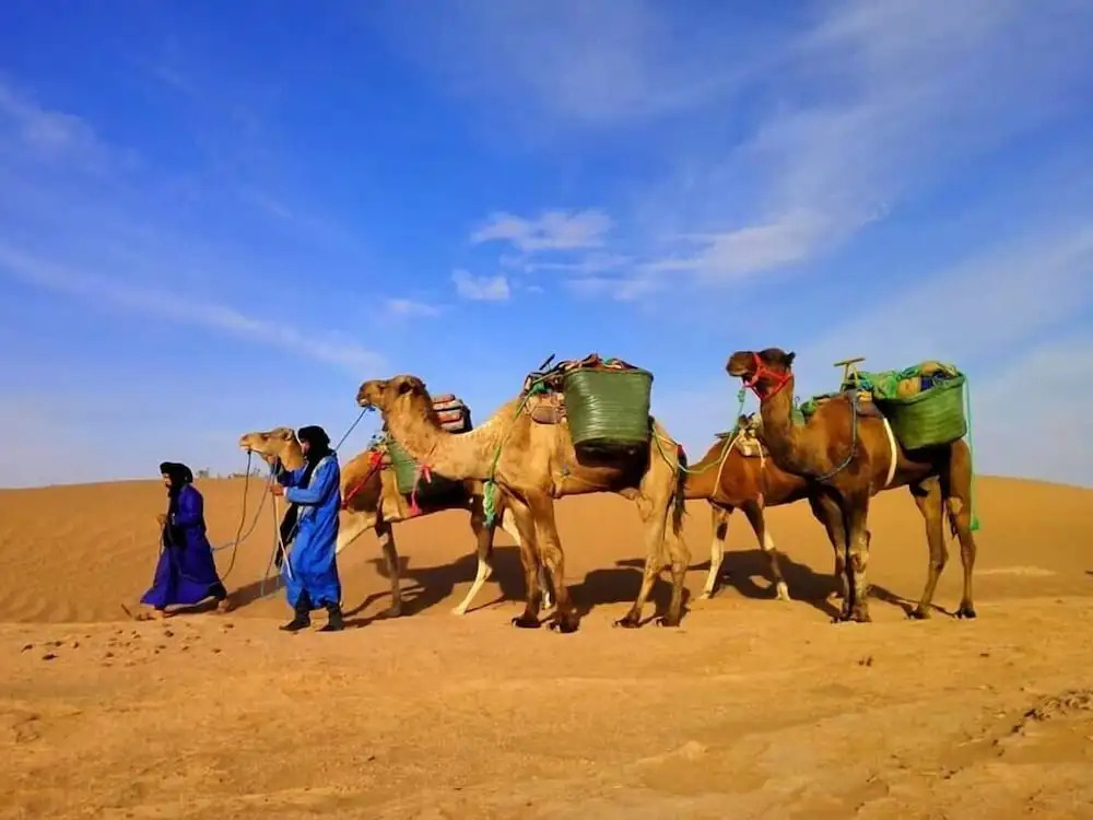 Atmospher Bivouac Desert
