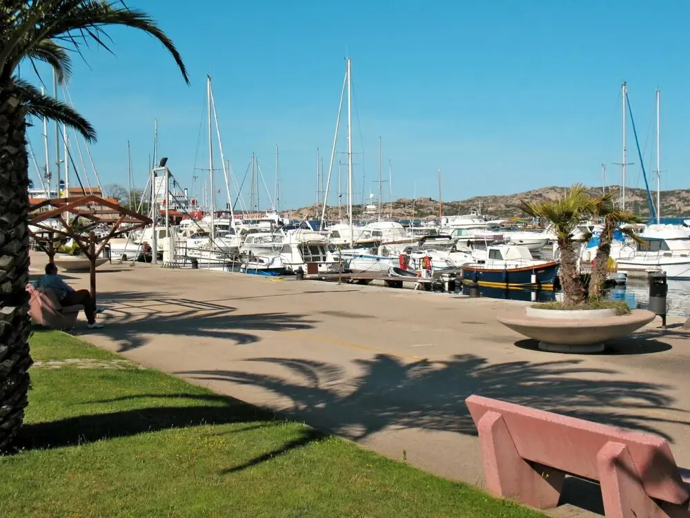 Mimosa Punta Sardegna