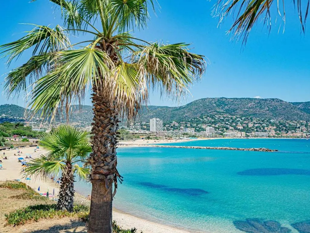 Appartement Le Lavandou, 3 pièces, 6 personnes - FR-1-610-69