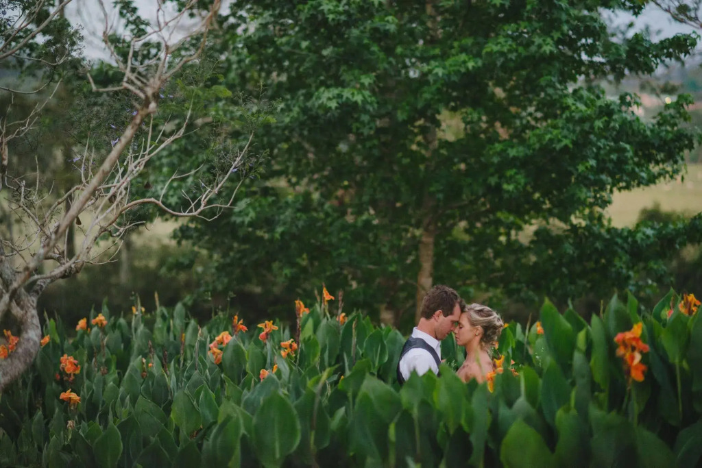 The Lodge Bellingen