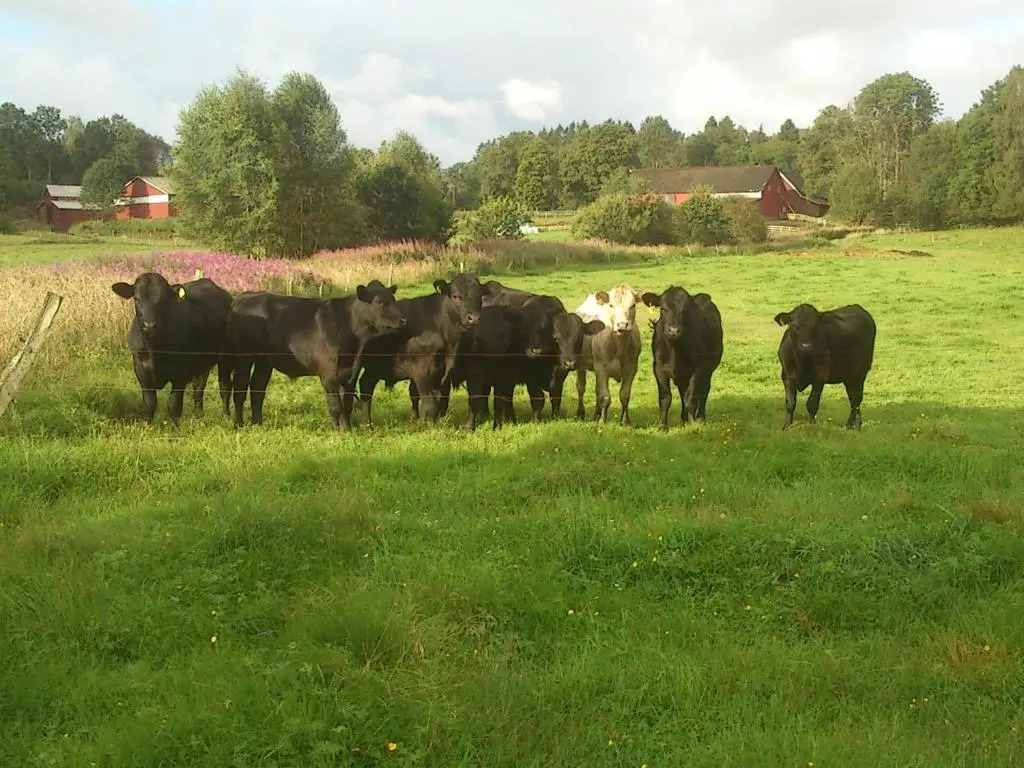 Övraby Stuga