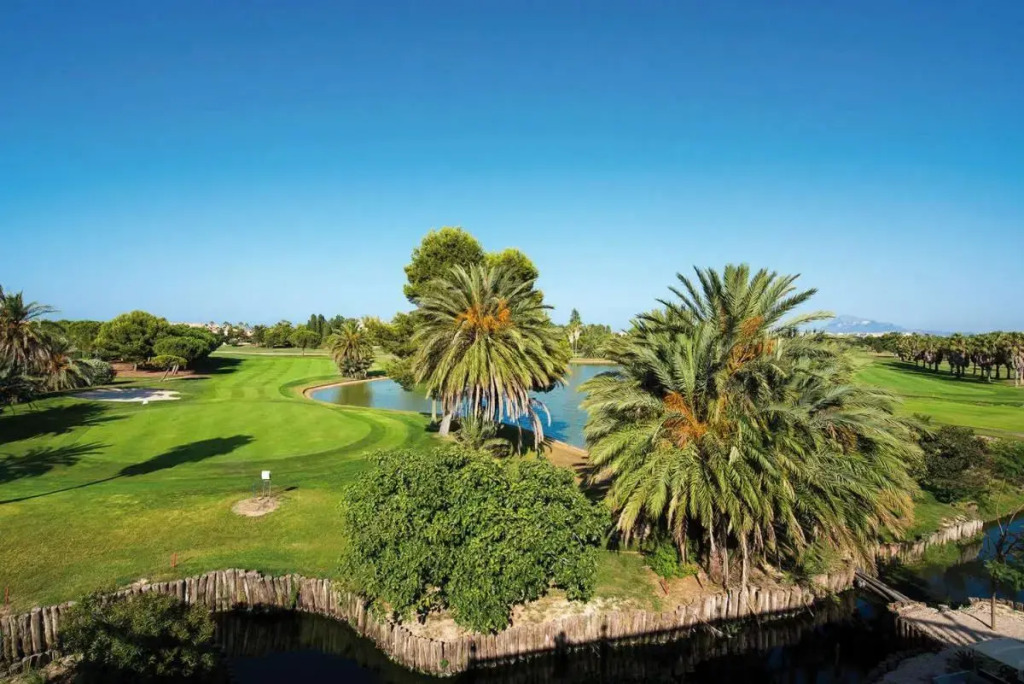 Blue Oliva Nova MET & Golf