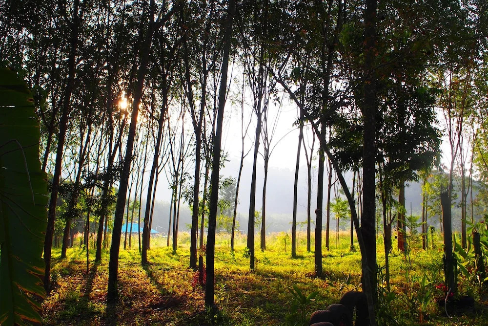 Farm stay 1000 Chang Valley