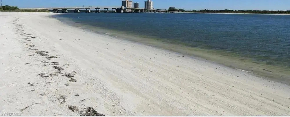 Davids Estero Beach & Tennis Condo