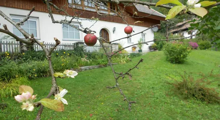 Ferienhaus Eder