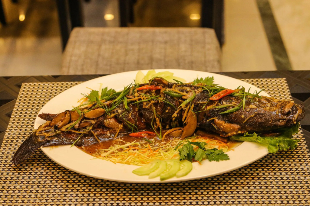 Yatri Suites and Spa