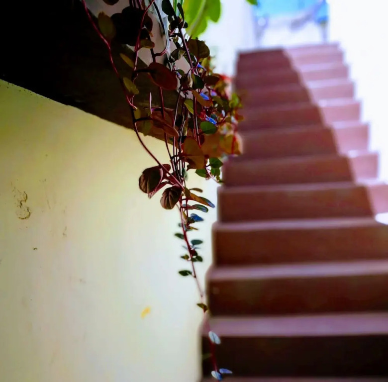 Casa I'X - Hostel