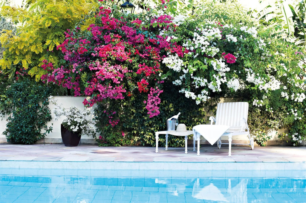 Last Word Constantia
