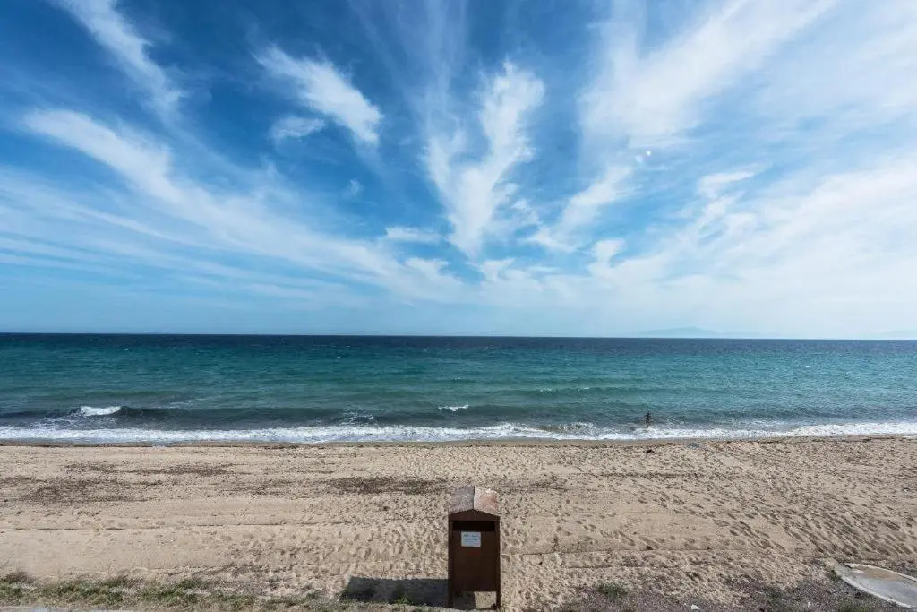 Blue Horizon 5