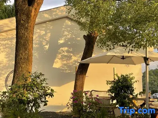 What kind of lemon pool homestay in Changsha