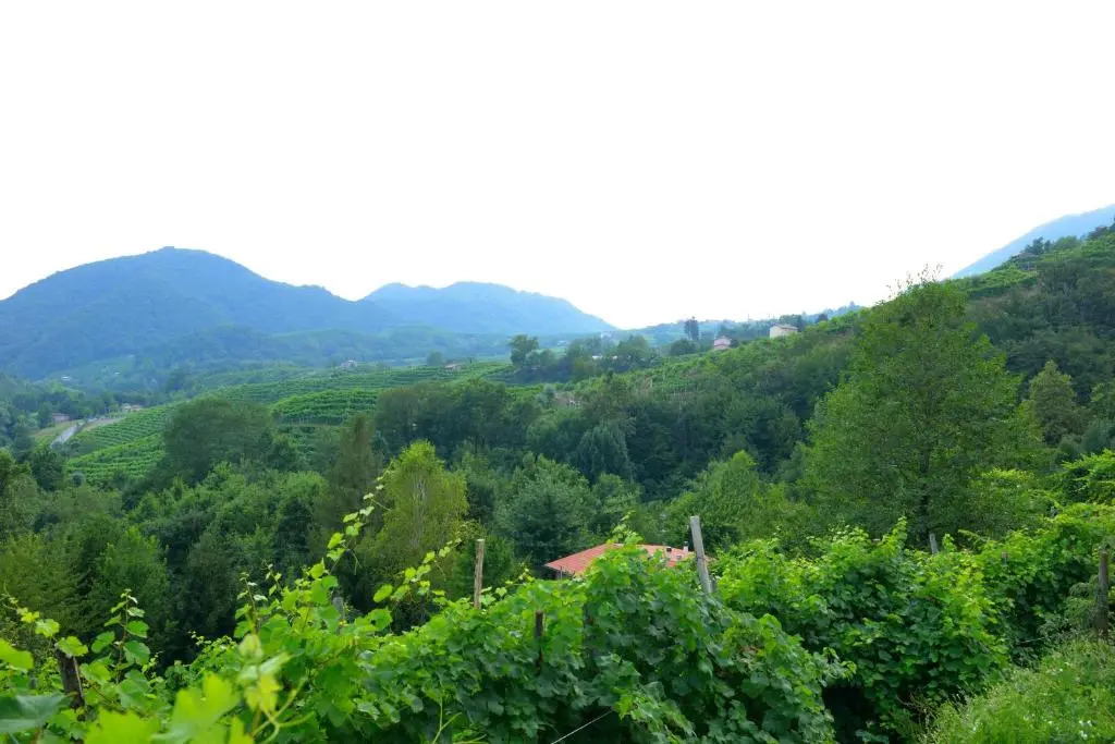 Agriturismo Casa di Campagna