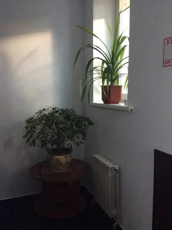 Восход
