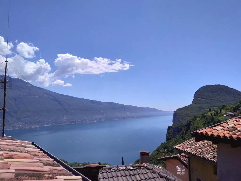 Ulivi sul Garda Garden by Gardadomusmea