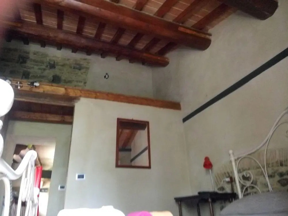 La Collina Degli Ulivi