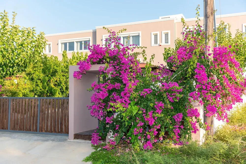 Evagelia Suites RED