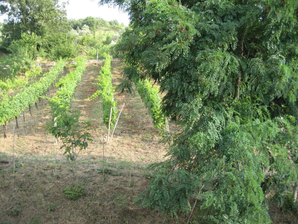 La Locanda di Campagna