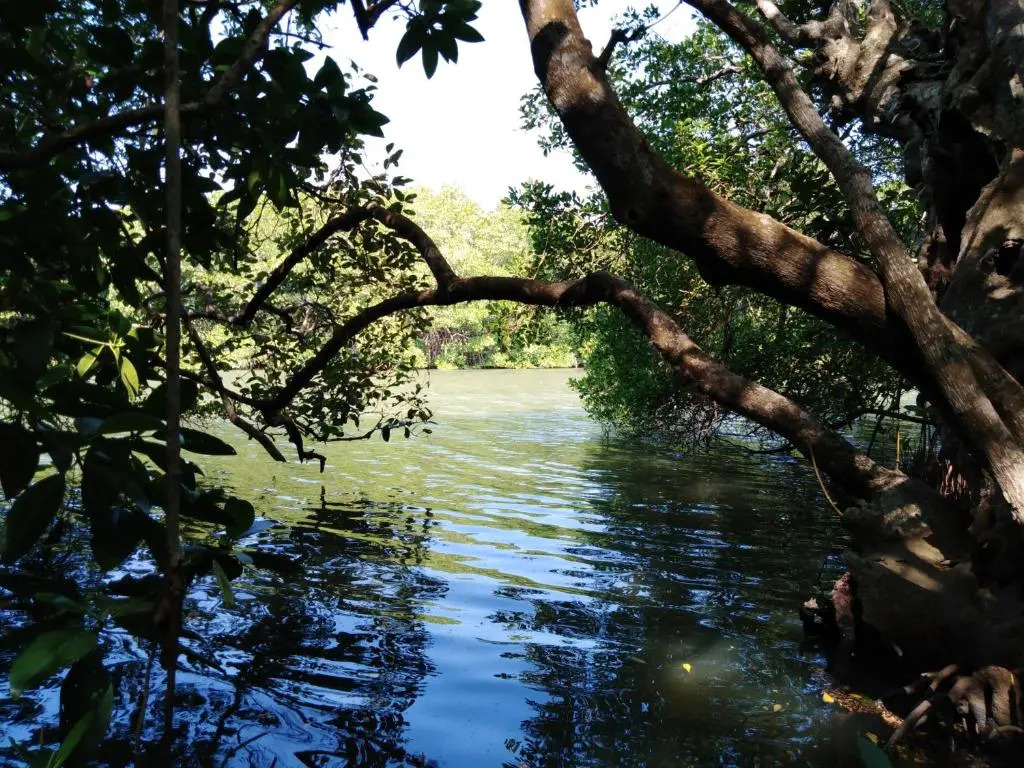Aaryana Lagoon