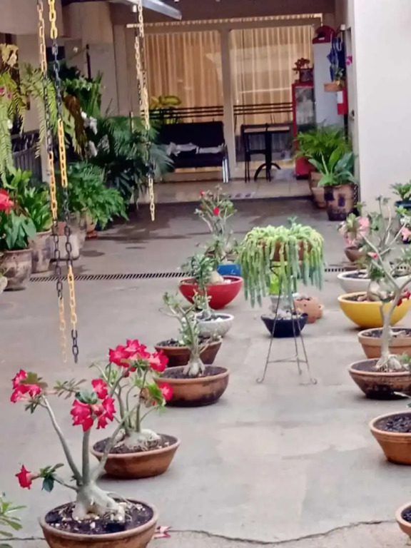 Kabana Hotel