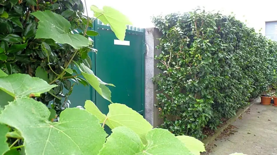 AZORES HOLIDAYS HOUSE -B&B - Suites - Self Check-in KEYBOARD