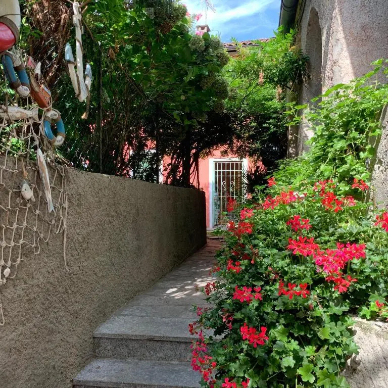 THE SECRET GARDEN ARONA VILLA in Piazza del Popolo 16 Historical Center