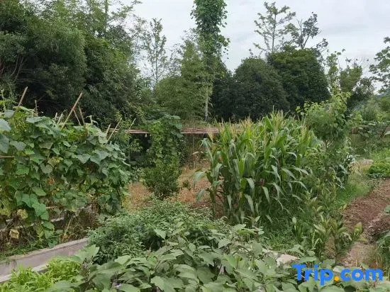 Floral Hotel·Jiuhua Mountain Underbloom Homestay