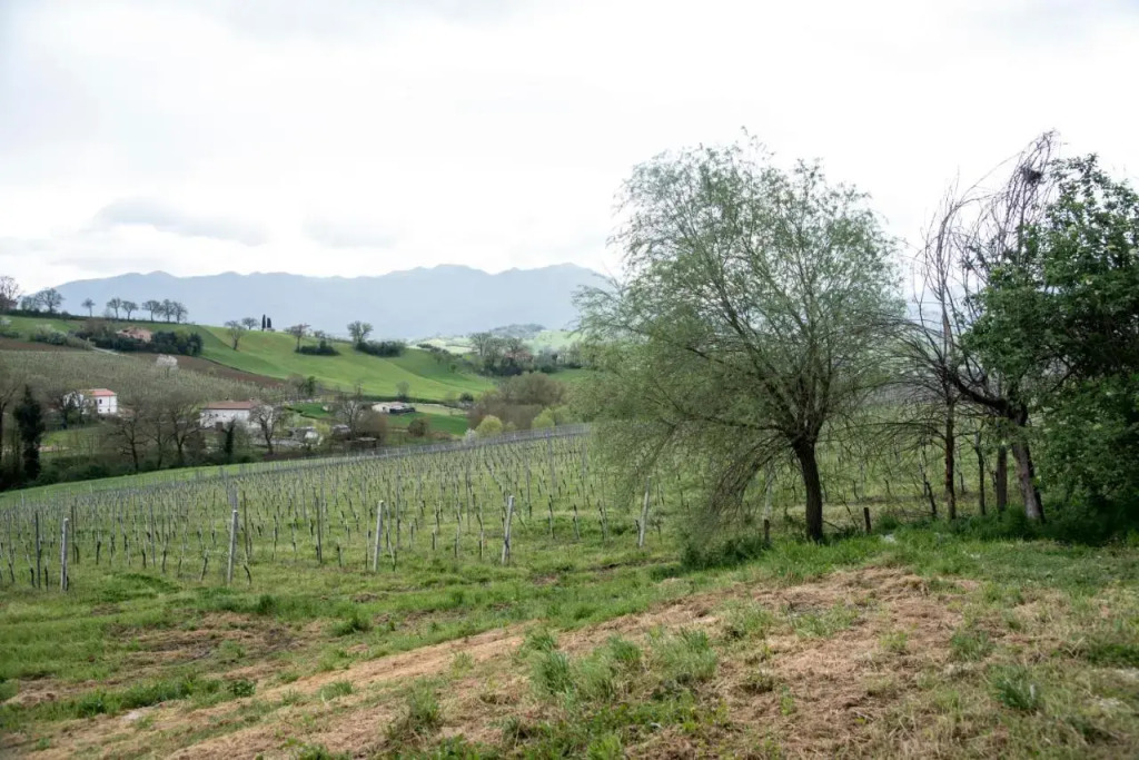 Casale Godenza