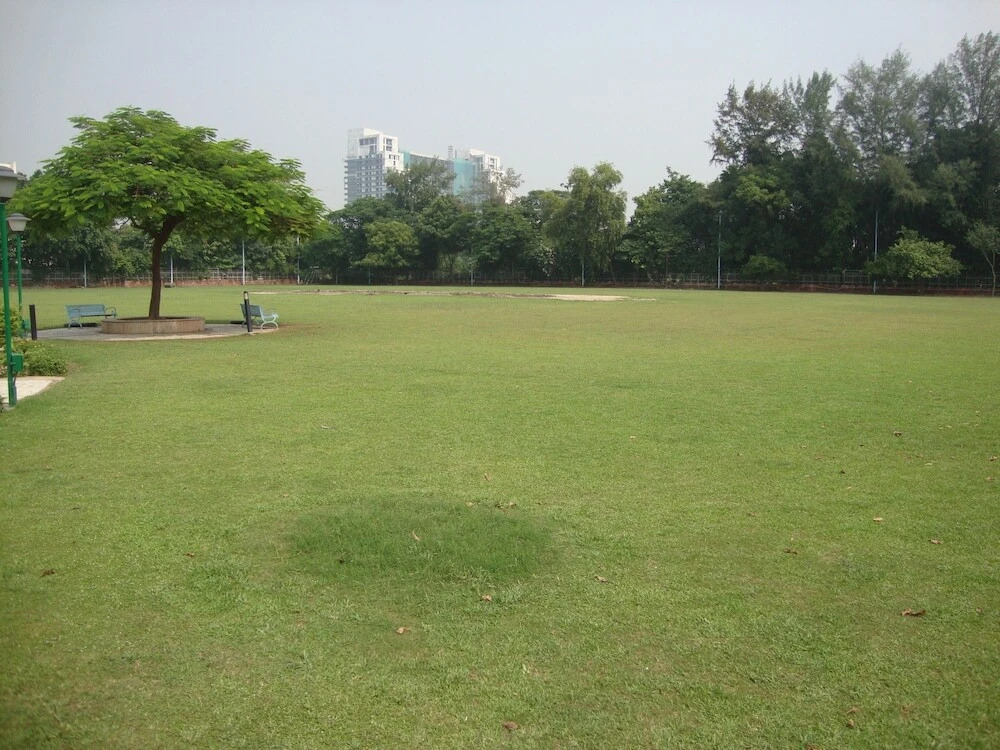 YMCA Greens