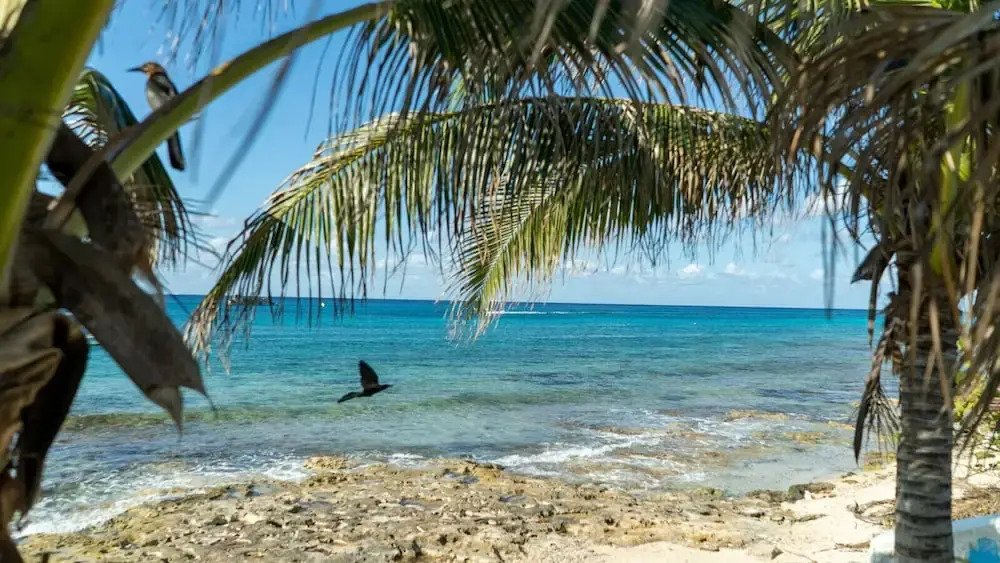Cozumel Apartments