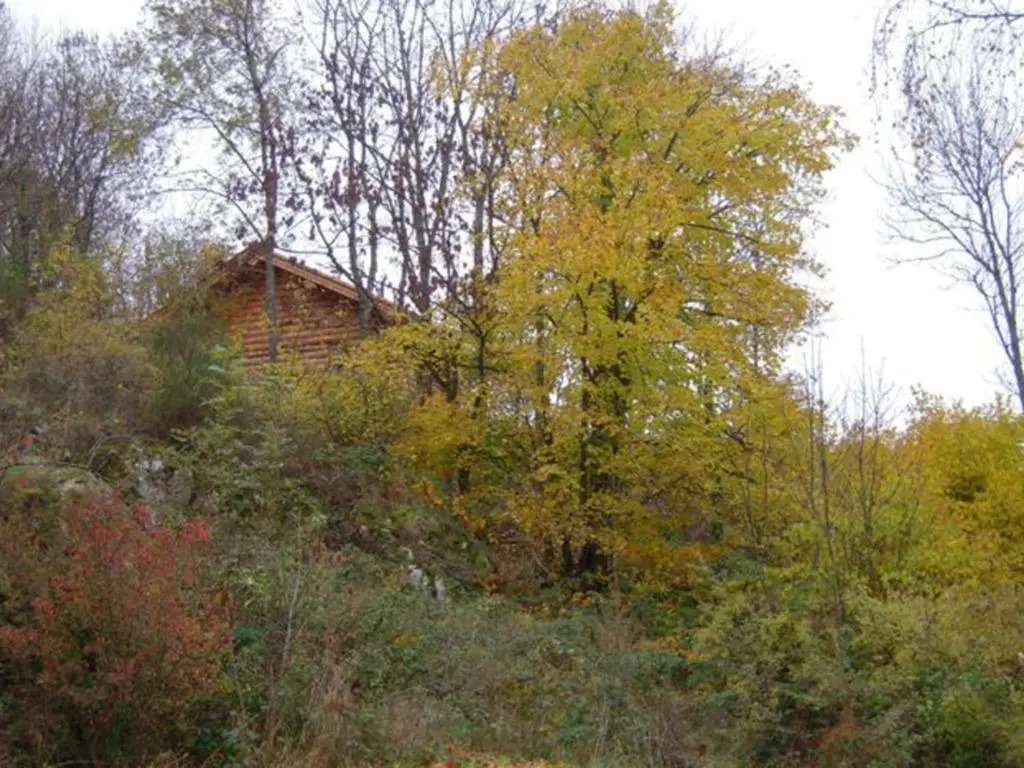 Chalet rustique avec poêle à bois - 3 pers, animaux admis - FR-1-496-187