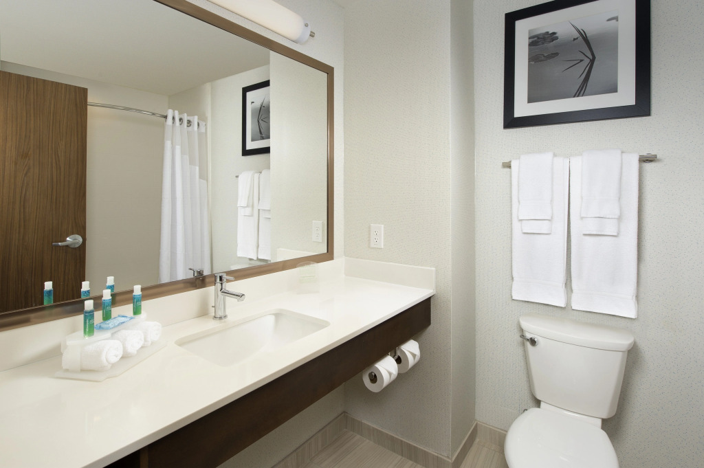 Holiday Inn Express & Suites Bay City by IHG