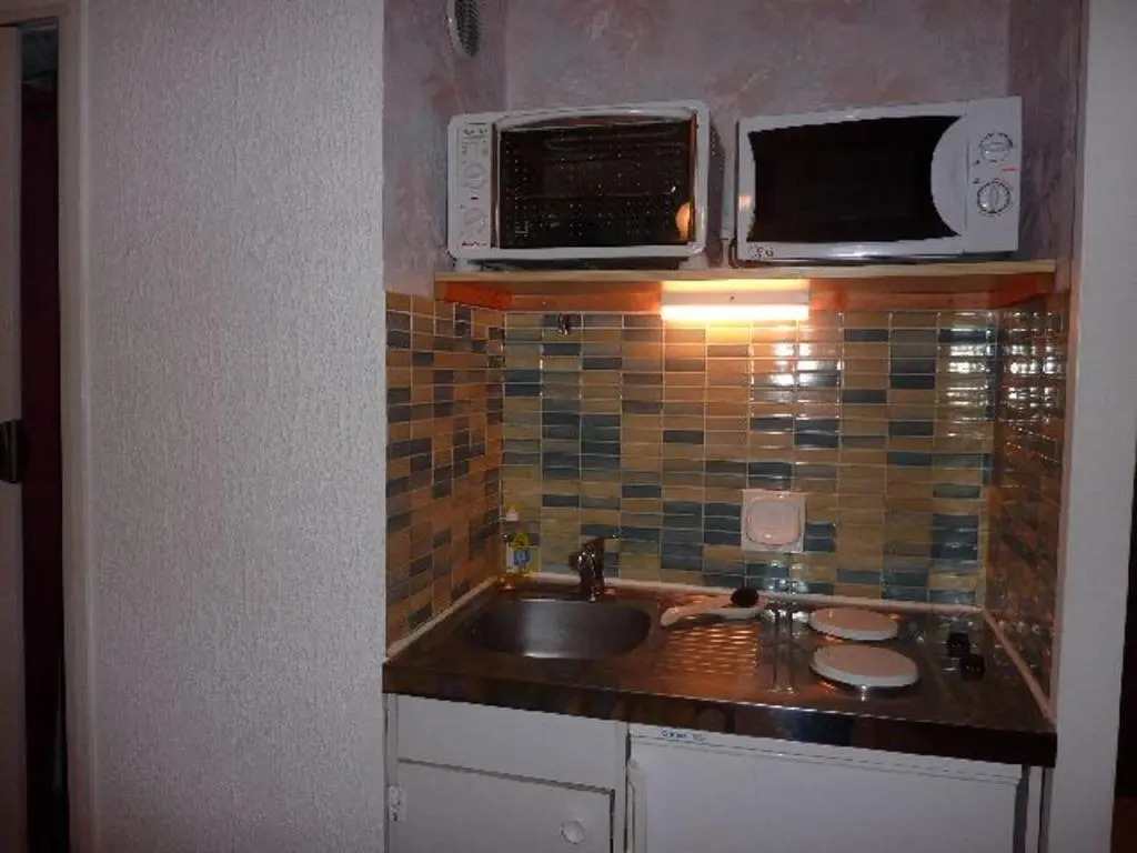 Appartement Mont-Dore, 1 pièce, 4 personnes - FR-1-608-122