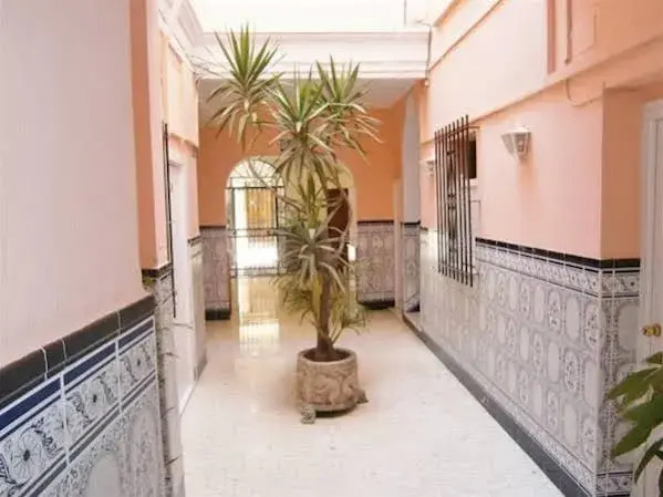 Sanvi Xerez Centro