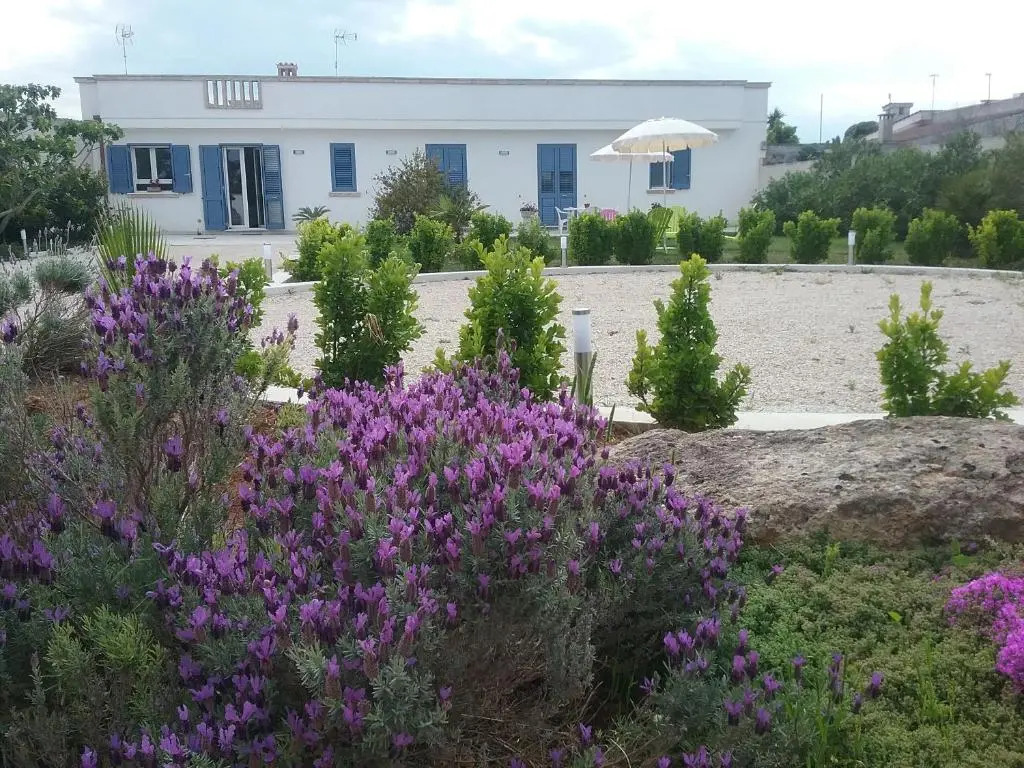 LI CURTI B&B