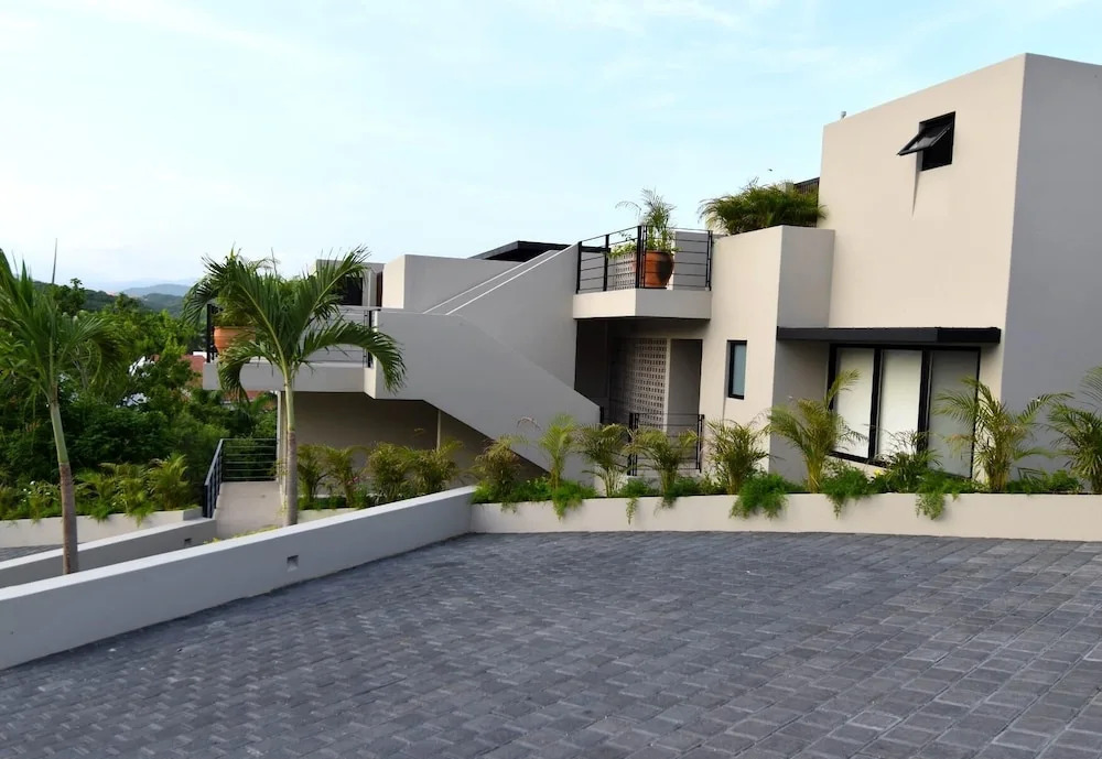 Agaves 204