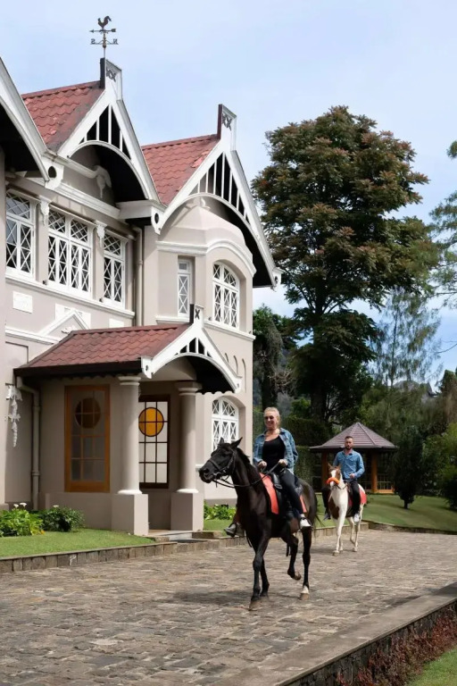 The Bellwood Manor