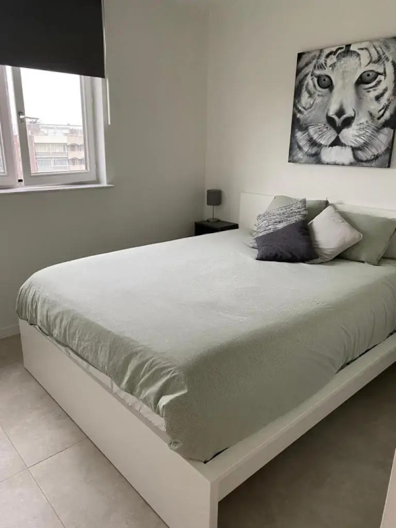 Gezellig 1 slaapkamer appartement nabij het stadscentrum