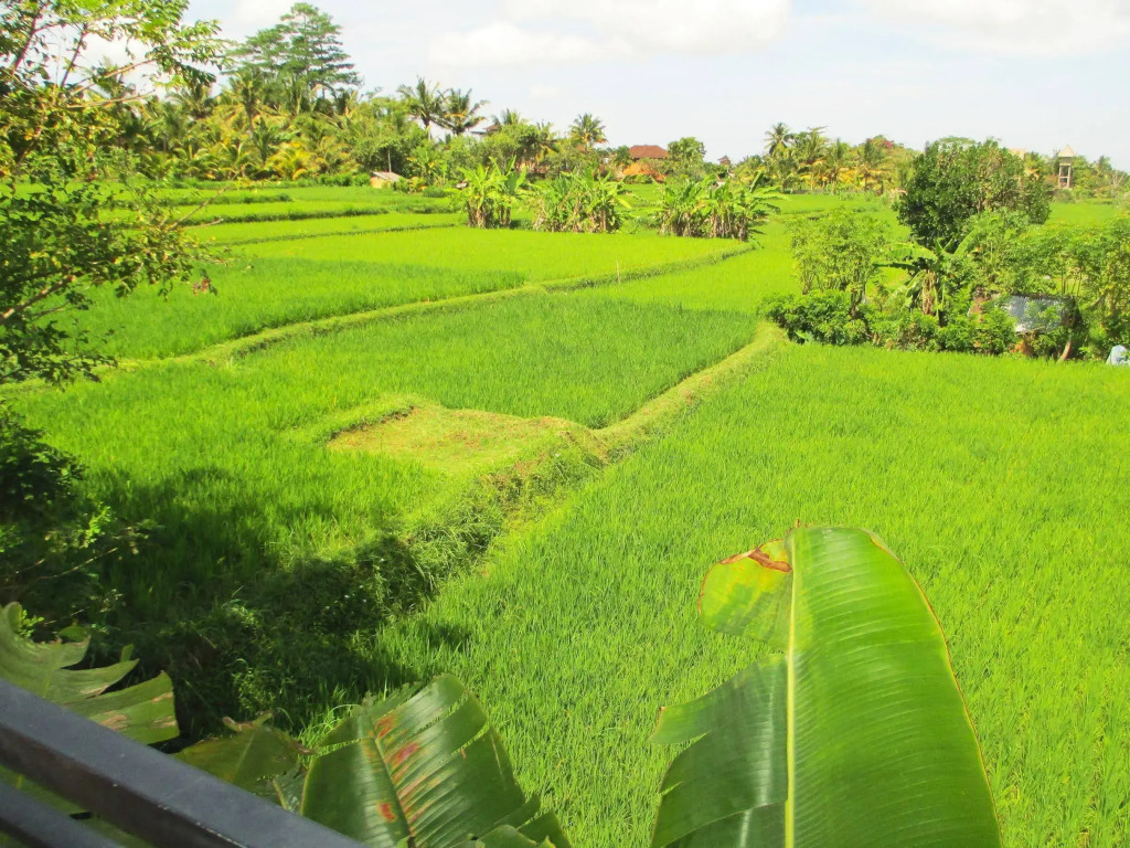 Panorama Ubud Private Villa